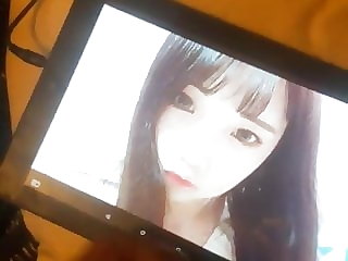 Korea cumtribute